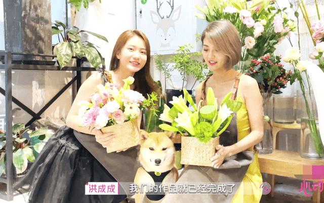 小猫钓鱼游戏龙王版有船